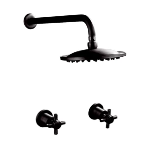 Shower Set Trendy Sombre With Round 200mm Shower Head, 400mm Arm With Dual Modern Handles Blackend Brass