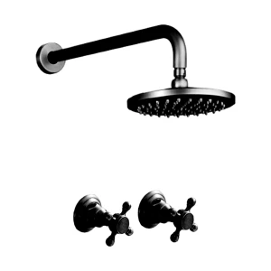Shower Set Trendy Sombre With Round 200mm Shower Head, 400mm Arm With Dual Antique Handles Blackend Brass