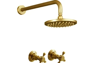 Shower Set Trendy Aurum With Round 200mm Shower Head, 400mm Arm With Dual Antique Handles Brushed Gold
